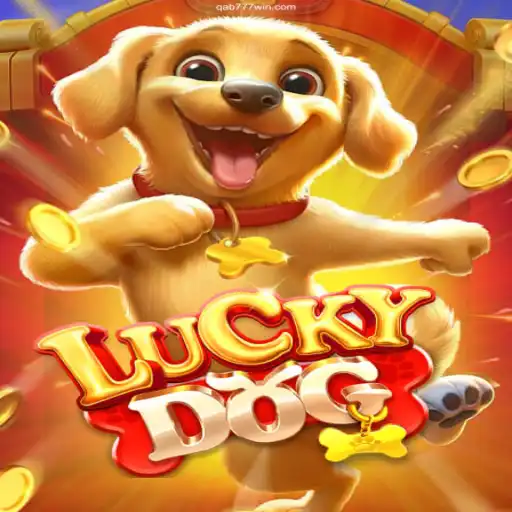 Qab777.com cassino online licenciado com 2.500+ jogos certificados, bônus R$ 5.000🍀 Online Lottery